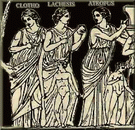 Lachesis Analysis
